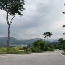 로얄포레CC 이미지