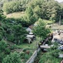 배나무실의 아침 이미지