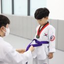 세종태권도장 이미지
