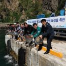 숲 바다 이미지