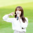 DGB대구은행파크 티스토리