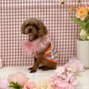 씻고놀개 이미지