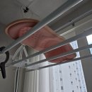 수유세탁 이미지