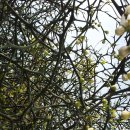 호수공원수변공원 이미지