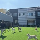 구룡유치원 이미지