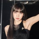 미디어 파라콘