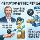 레이어제로글로벌