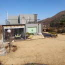 도그엔조이 이미지