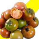 토마토 이미지