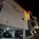 꽃수다 | 강릉 감성숙소 감자꽃펜션, 경포대 근처 가성비 숙소 통감자 이용후기