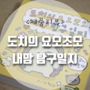 도치릴리