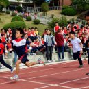 인제초등학교 이미지