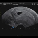 마이더스산부인과의원 이미지