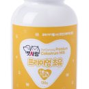 펫 사랑 이미지