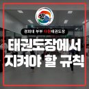 경희대 부부 다원태권도장 이미지