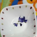 또래울협동조합 이미지