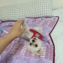 지가민헤어