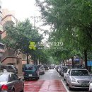 백범로 247번길 이미지