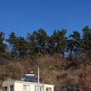 대종2리 | 해파랑길 25,26,코스후기 2 (6차)
