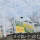 고성솔라 이미지