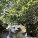 도초 한발3교 | 지장산계곡 평일 7월말 성수기 리뷰: 향로천2교 스팟이 최고였던 이유!