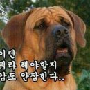 같이 이미지