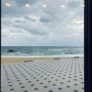 추암횟집대게 이미지