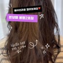 더 빛나개 | 대전 유성 미용실 봉명동 본보떼 봉명2호점 애쉬브라운 예약 염색 후기