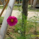 달구지마을 이미지