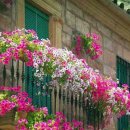 창가의 풍경 이미지