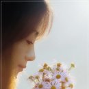 그날 오후 이미지