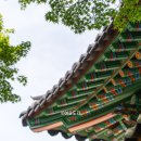 용지천 | 전북 사찰 고창 문수사 고창 여행 가볼만한곳 단풍나무숲