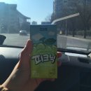 작전동 911-7번지 옆(거승프라자 앞) | 꽃영지 일상, 부천자연생태공원, 부천식물원, 죠스떡볶이, 데일리룩