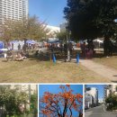SUMIDA STREET JAZZ FESTIVAL2026 10월17 18일 이미지
