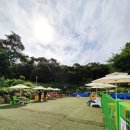 견복궁 | 김포견복궁 애견카페 솔직후기 친절하고 깨끗해 ♡ 셀프목욕 까지 가능