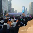 거북이 | 2026 서울 유아차런 참여후기, 거북이반 완주! 광화문광장에서 여의도공원까지 8K 마라톤
