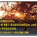 광교행정사사무소 이미지
