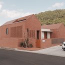 박하제주 이미지