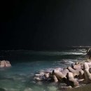 당신의안목