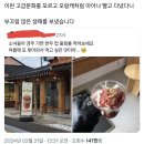 이런 고급문화를 모르고 경주 가서 오랑캐처럼 아아나 빨고 다녔다니.twt 이미지