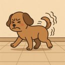 강북제일외과의원 이미지