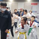 라이프태권스쿨 이미지