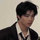한국방역 - 포항시 북구 법원로8번길 26 | (내돈내산)원룸 해충 벌레 방역 후기 견적/가격/업체명