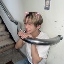 혜성광고