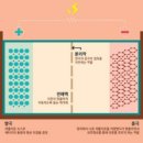 더블유씨피 주식회사 네이버블로그