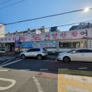 독도참가자미회 이미지