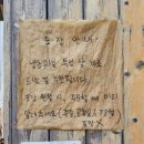 베스트아인스