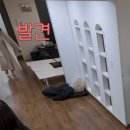 정희패션 - 공주시 산성시장4길 96 | 정희패션