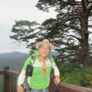 대광천(1) 이미지