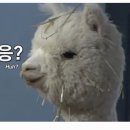 역삼제3 이미지